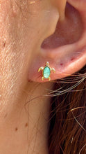 Load image into Gallery viewer, Mini Turtle Earrings