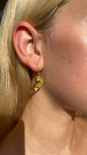 Load image into Gallery viewer, Gold Fishy Earrings