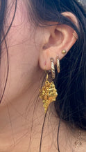 Load image into Gallery viewer, Gold seashell earrings