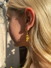 Load image into Gallery viewer, Seahorse Earrings