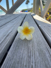 Load image into Gallery viewer, Hibiscus Yellow HairClip