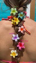 Load image into Gallery viewer, Mini Hibiscus Clips
