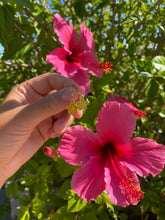 Load image into Gallery viewer, yellow aloha earrings

