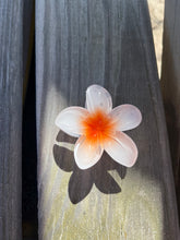 Load image into Gallery viewer, White Hibiscus HairClip
