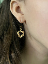 Load image into Gallery viewer, Save The Dolphins Earrings
